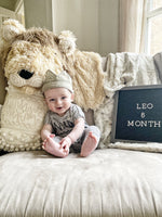 Lion Rug for Safari Nursery
